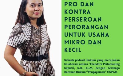 Pro dan Kontra Perseroan Perorangan Untuk Usaha Mikro dan Kecil